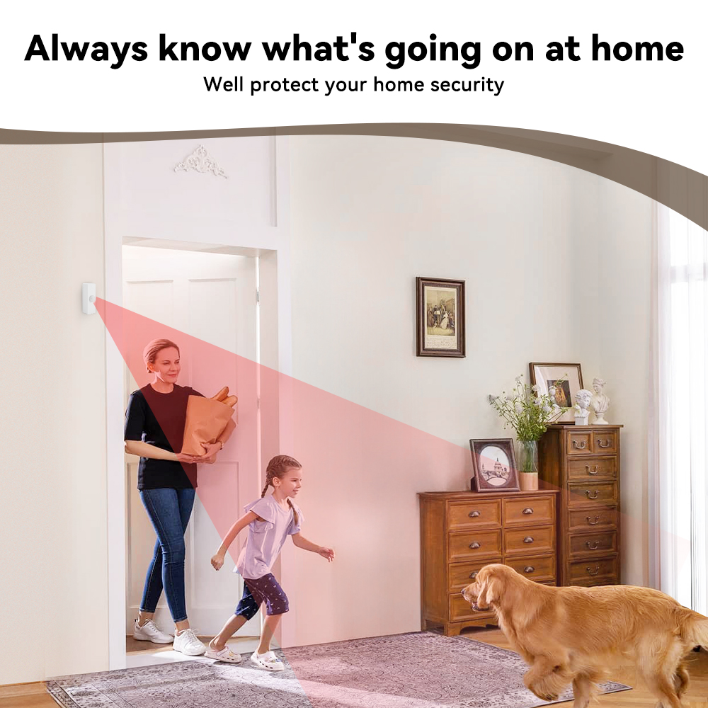 Tuya スマート PIR モーションセンサー スマートホー - Smart Home Web のレビューと価格