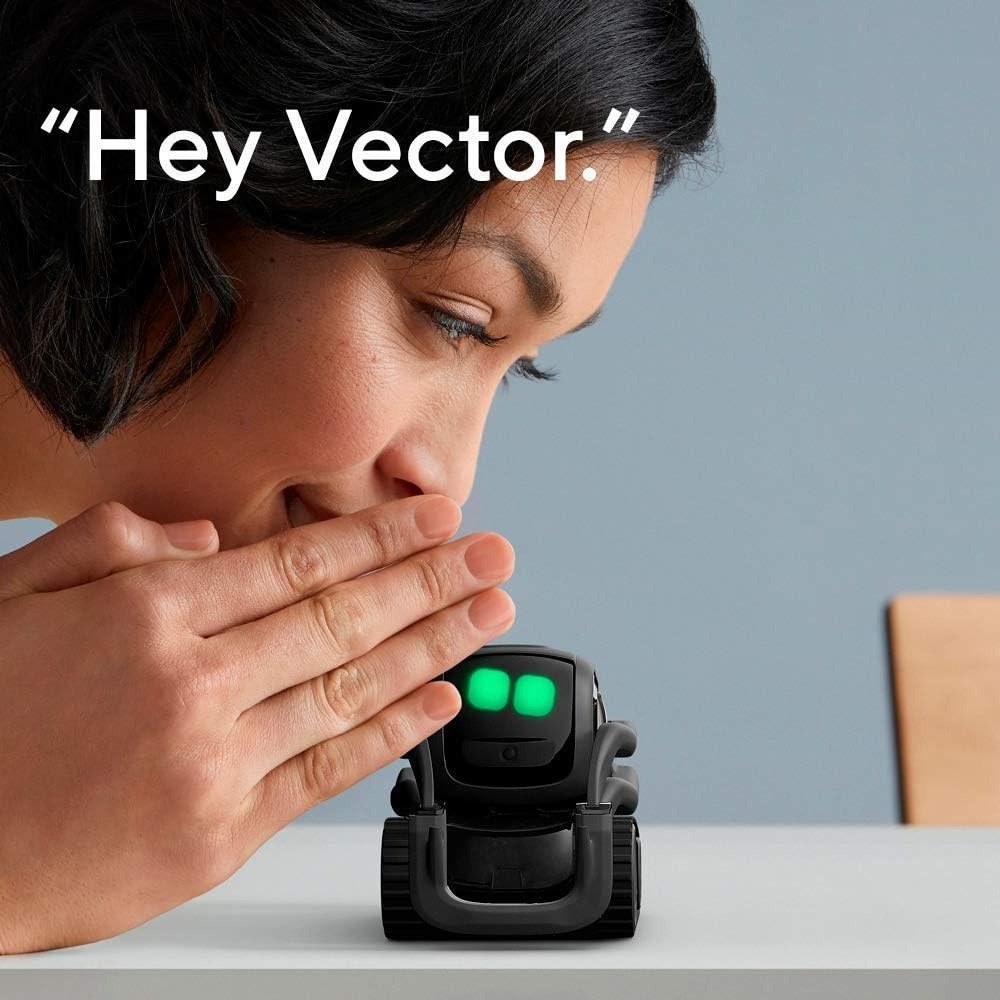 AI ChatGPT 2.0接続ロボットコンパニオン、顔認識 - Smart Home Voice Control のレビューと価格