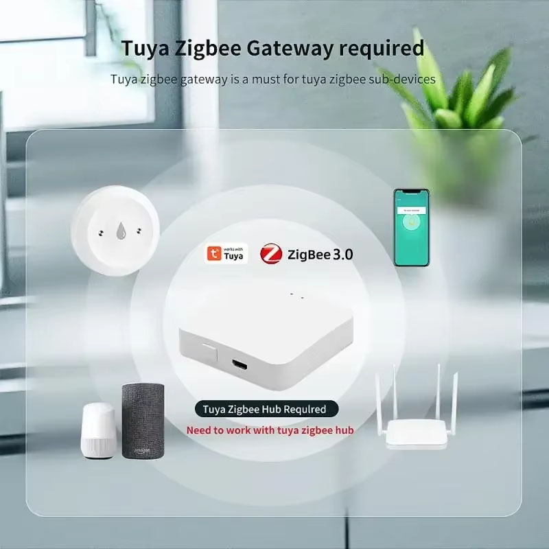 Tuya ZigBee 3.0 水漏れ検知器 スマート洪水セ - Smart Home Tools のレビューと価格