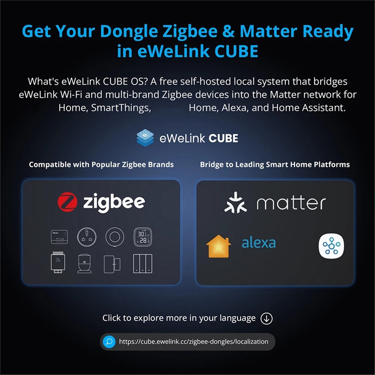 Dongle Plus MG24 Zigbee Thread - Smart Home Plus のレビューと価格